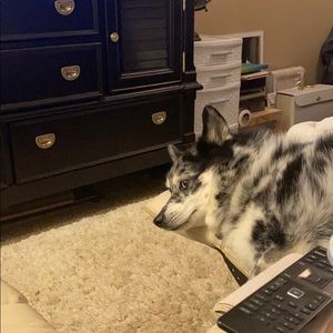 Meet your Posher, Nathan